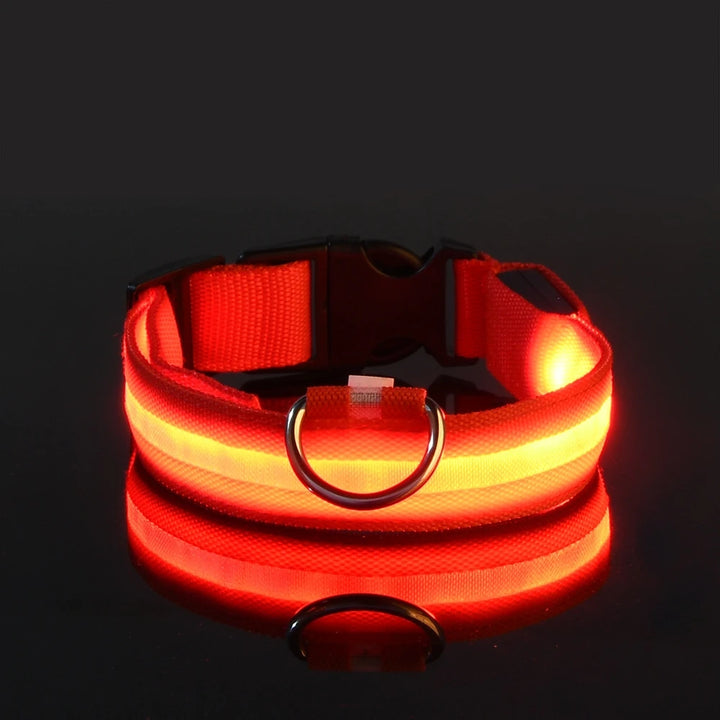 LED Glow-in-the-Dark Nylon Dog Leash – Night Safety