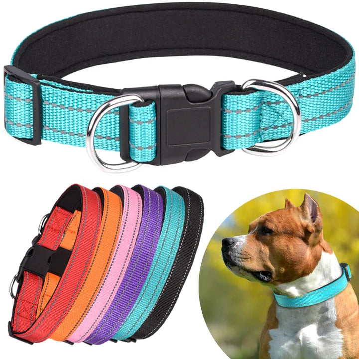 Reflective Adjustable Dog Collar – Padded & Breathable