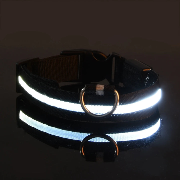 LED Glow-in-the-Dark Nylon Dog Leash – Night Safety