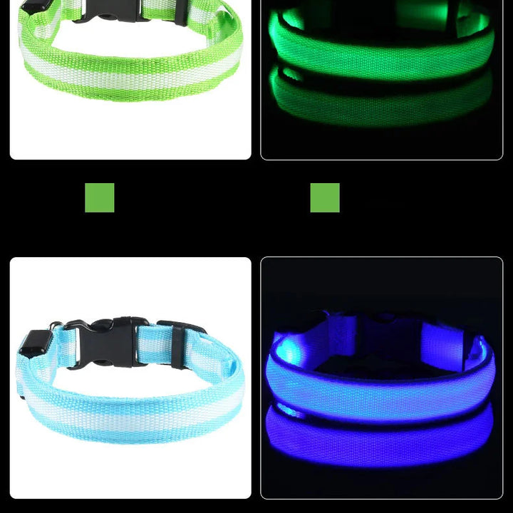 LED Glow-in-the-Dark Nylon Dog Leash – Night Safety