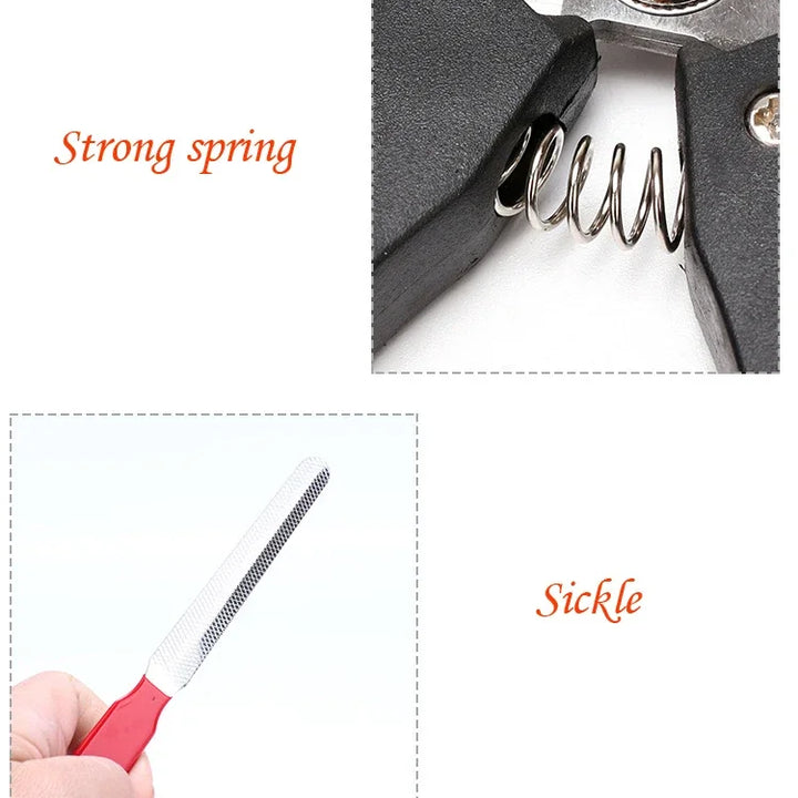 Stainless Steel Pet Nail Clippers – Large & Multifunctional