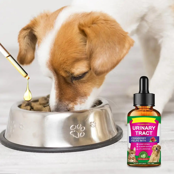 Pet UTI Bladder Drops – Urinary Tract Care for Cats & Dogs