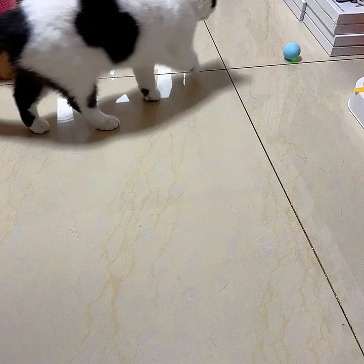 Automatic Rolling Interactive Cat Ball Toy