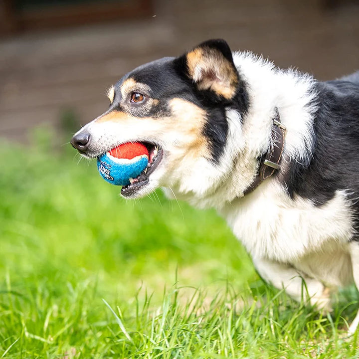 GiGwi 3PCS Interactive Dog Balls – Squeaky & Bite-Resistant