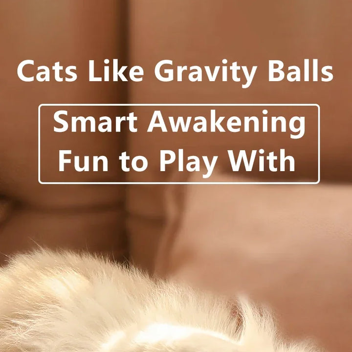 Automatic Rolling Interactive Cat Ball Toy