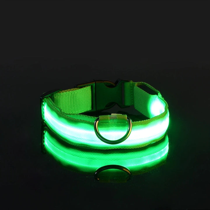 LED Glow-in-the-Dark Nylon Dog Leash – Night Safety