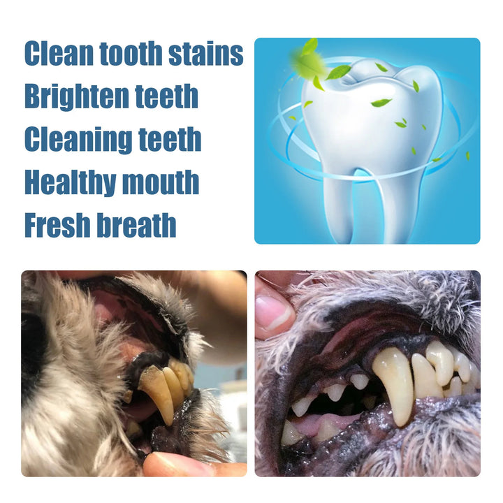 Pet Dental Cleaning Kit – Tartar Remover & Toothbrush