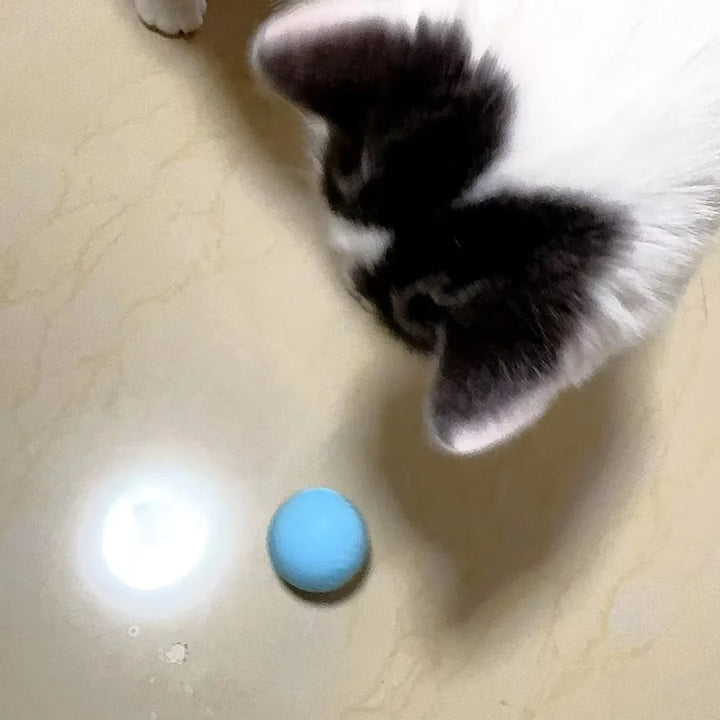 Automatic Rolling Interactive Cat Ball Toy