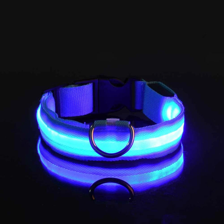 LED Glow-in-the-Dark Nylon Dog Leash – Night Safety