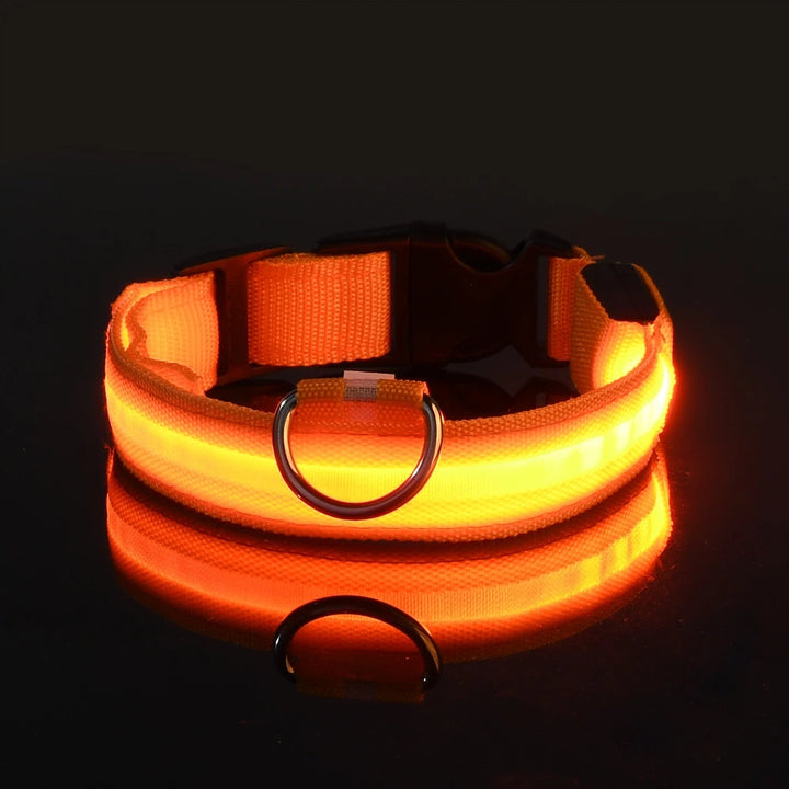 LED Glow-in-the-Dark Nylon Dog Leash – Night Safety