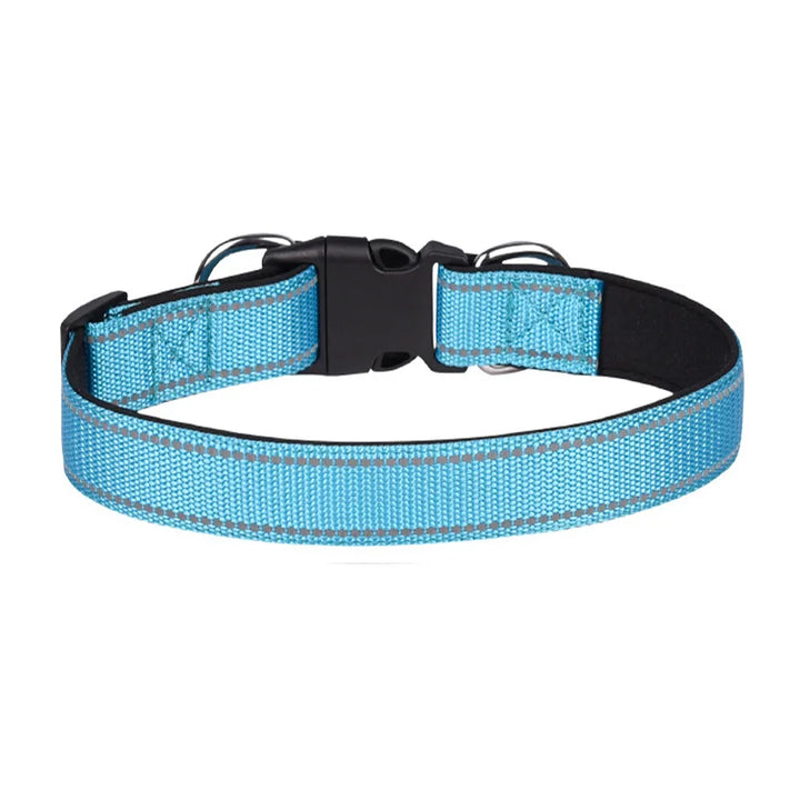 Reflective Adjustable Dog Collar – Padded & Breathable