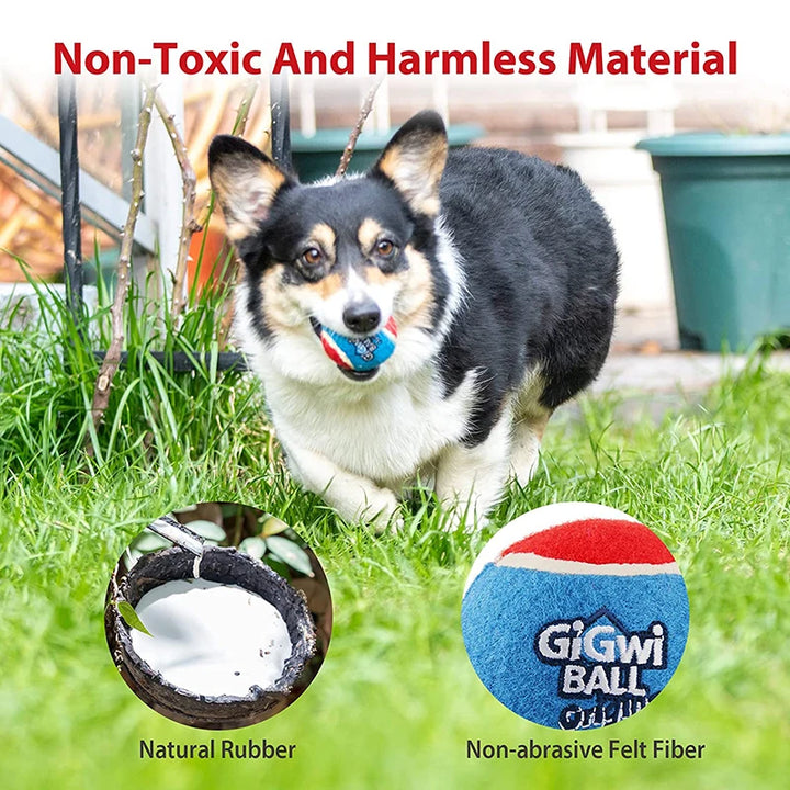 GiGwi 3PCS Interactive Dog Balls – Squeaky & Bite-Resistant