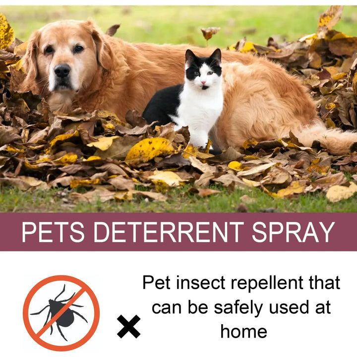 Pet Insect Repellent Spray – Flea, Tick & Itch Relief