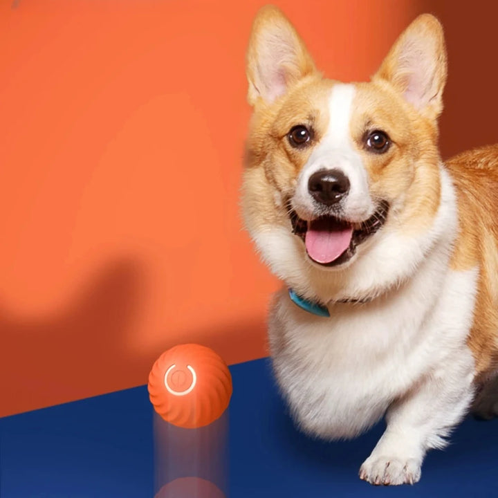 Electronic Interactive Dog Toy Ball – Smart & Rechargeable