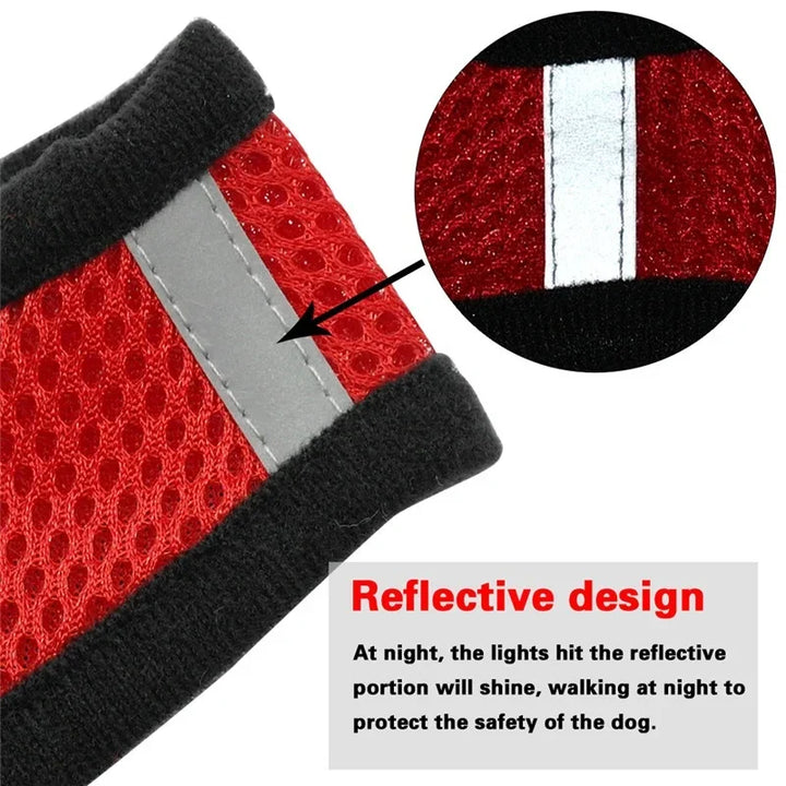 Reflective Breathable Dog Harness & Leash Set