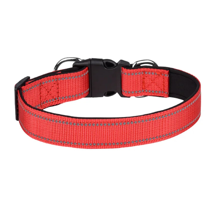 Reflective Adjustable Dog Collar – Padded & Breathable