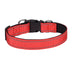 Reflective Adjustable Dog Collar – Padded & Breathable