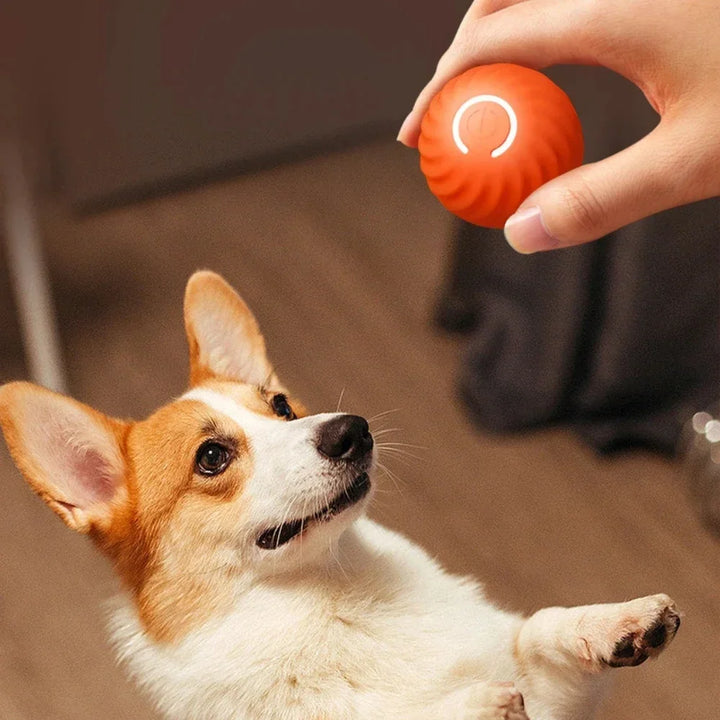 Electronic Interactive Dog Toy Ball – Smart & Rechargeable