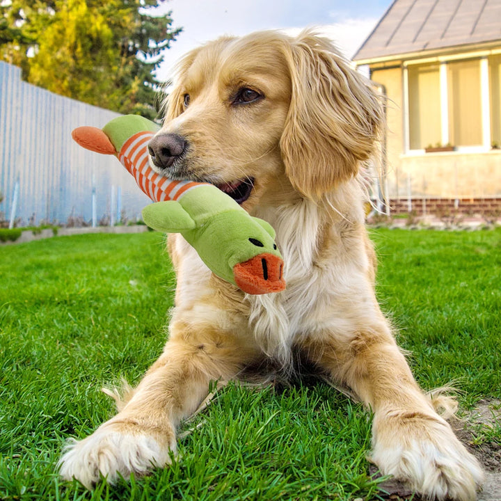 Plush Squeaky Pet Toy – Durable & Fun for Dogs & Cats