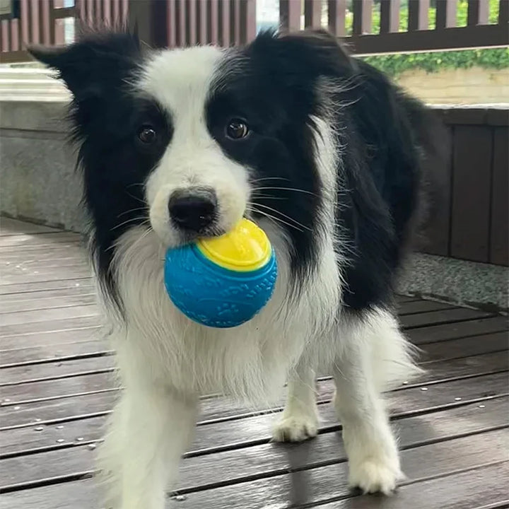 Soft TPR Squeaky Dog Toy – Durable & Teeth Cleaning