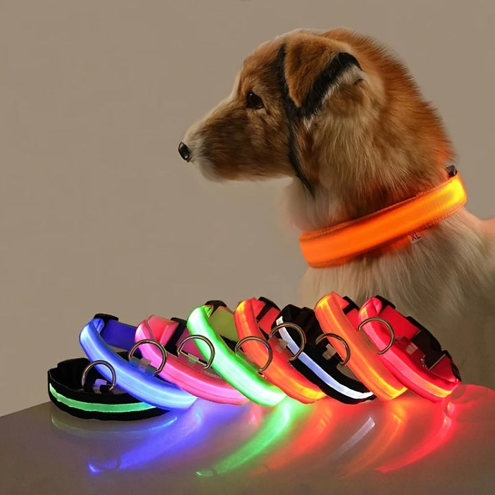 LED Glow-in-the-Dark Nylon Dog Leash – Night Safety