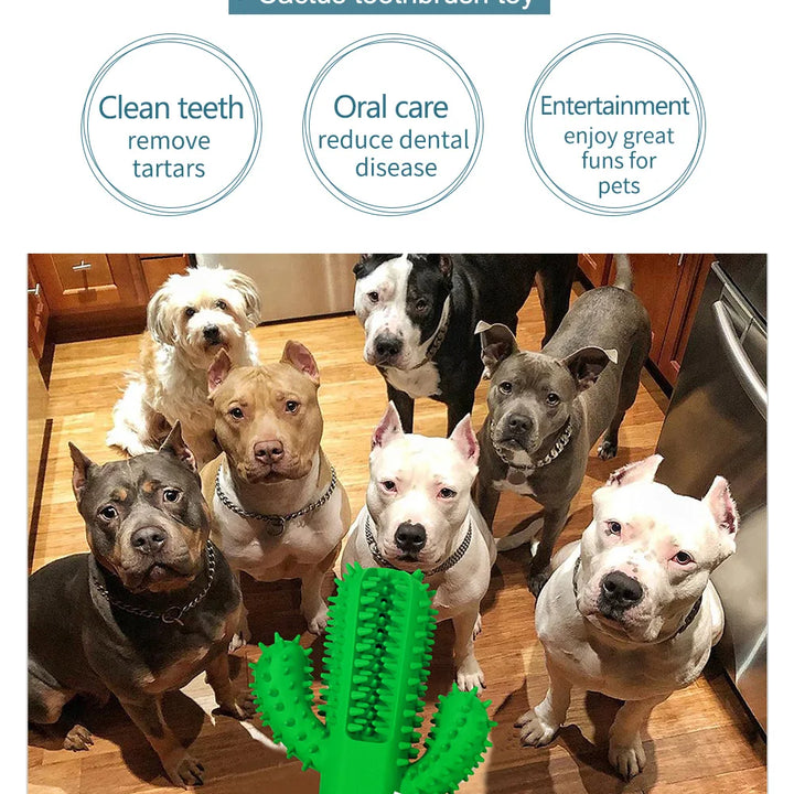 Cactus Rubber Chew Toy – Dental Care & Treat Dispenser