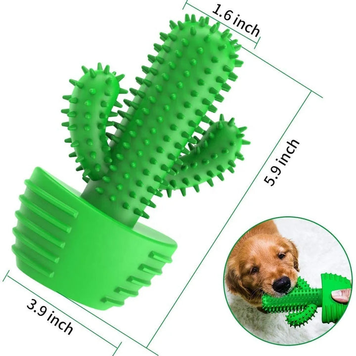 Cactus Rubber Chew Toy – Dental Care & Treat Dispenser