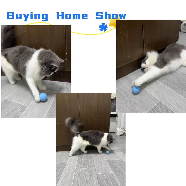 Automatic Rolling Interactive Cat Ball Toy