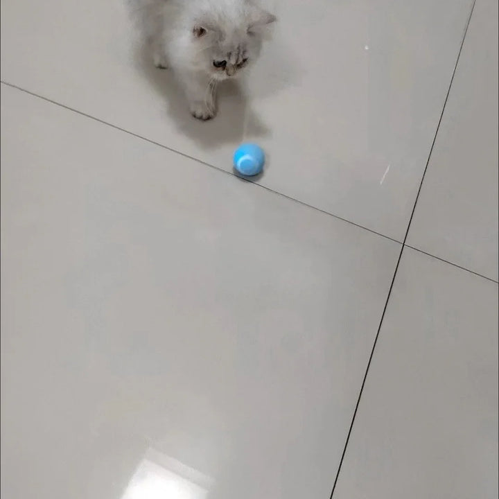 Automatic Rolling Interactive Cat Ball Toy