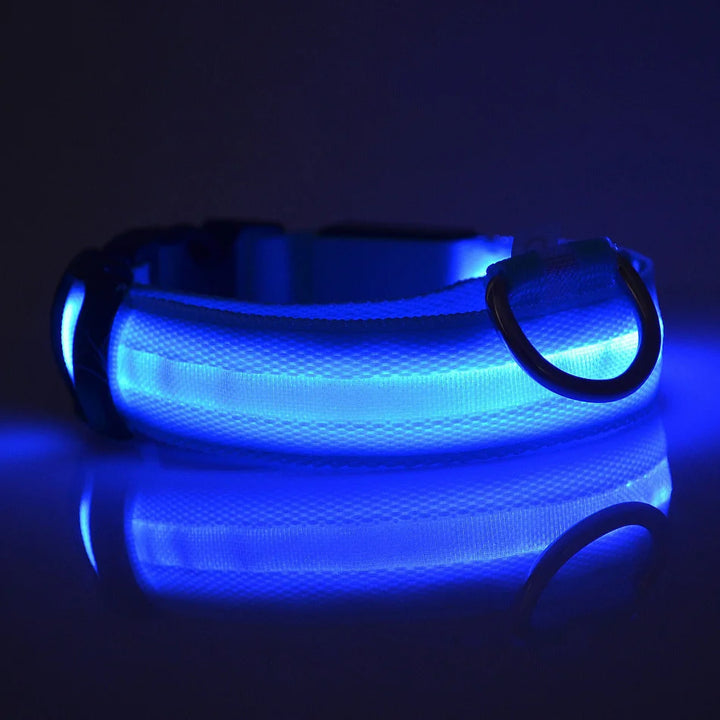 LED Glow-in-the-Dark Nylon Dog Leash – Night Safety