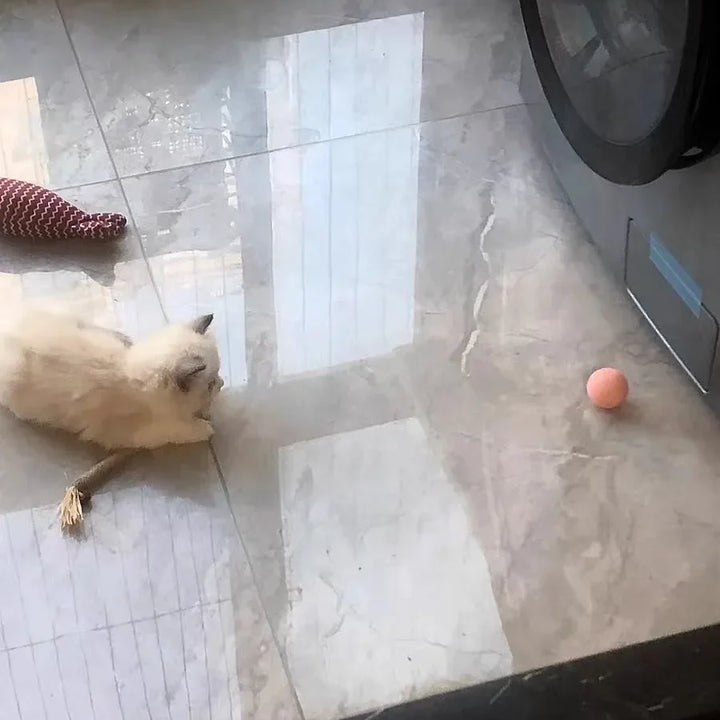 Automatic Rolling Interactive Cat Ball Toy