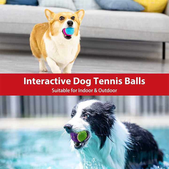 GiGwi 3PCS Interactive Dog Balls – Squeaky & Bite-Resistant