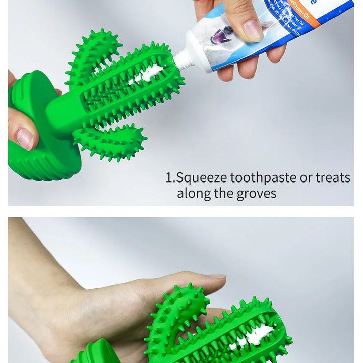 Cactus Rubber Chew Toy – Dental Care & Treat Dispenser