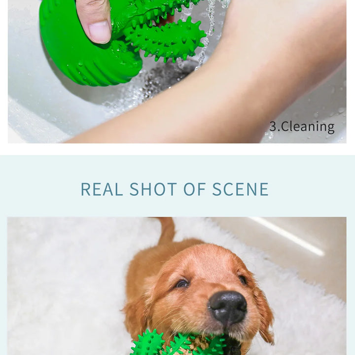 Cactus Rubber Chew Toy – Dental Care & Treat Dispenser