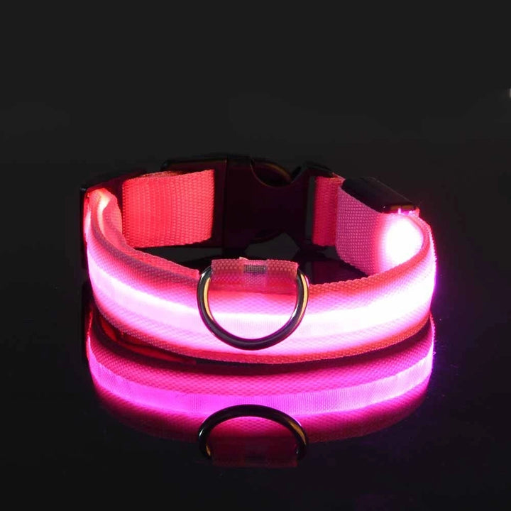 LED Glow-in-the-Dark Nylon Dog Leash – Night Safety