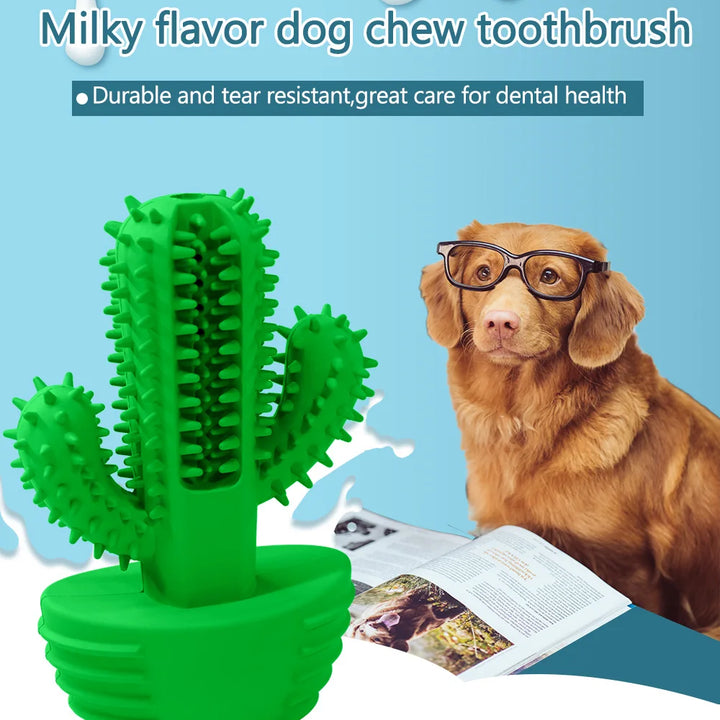 Cactus Rubber Chew Toy – Dental Care & Treat Dispenser