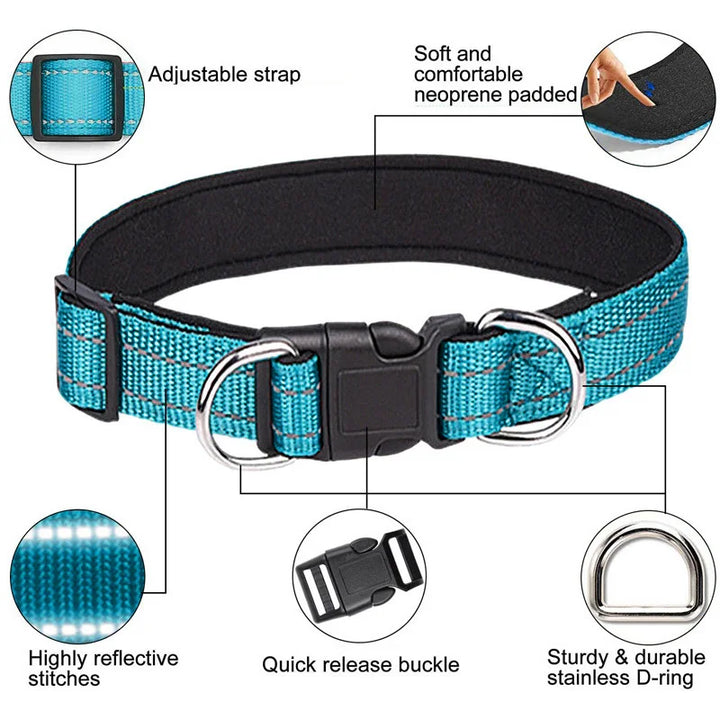 Reflective Adjustable Dog Collar – Padded & Breathable