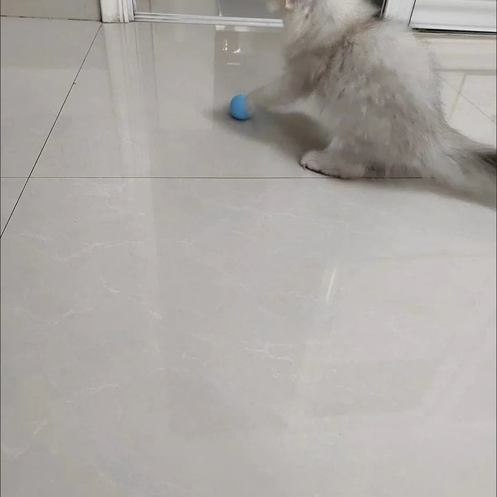 Automatic Rolling Interactive Cat Ball Toy