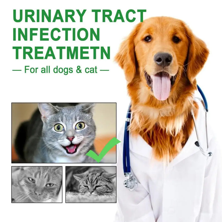 Pet UTI Bladder Drops – Urinary Tract Care for Cats & Dogs