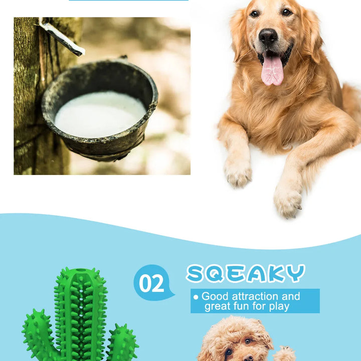 Cactus Rubber Chew Toy – Dental Care & Treat Dispenser