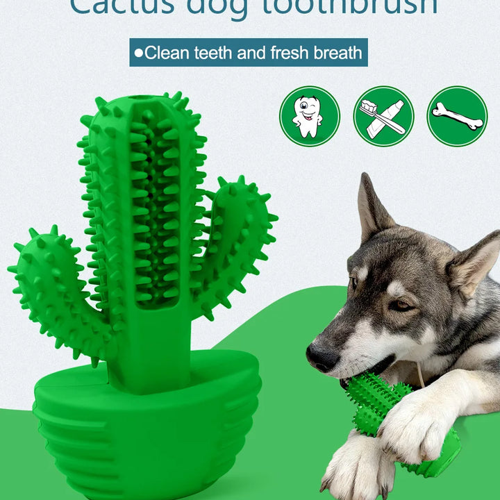 Cactus Rubber Chew Toy – Dental Care & Treat Dispenser