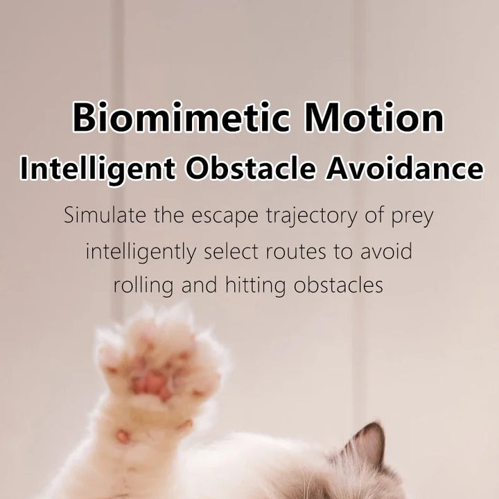 Automatic Rolling Interactive Cat Ball Toy