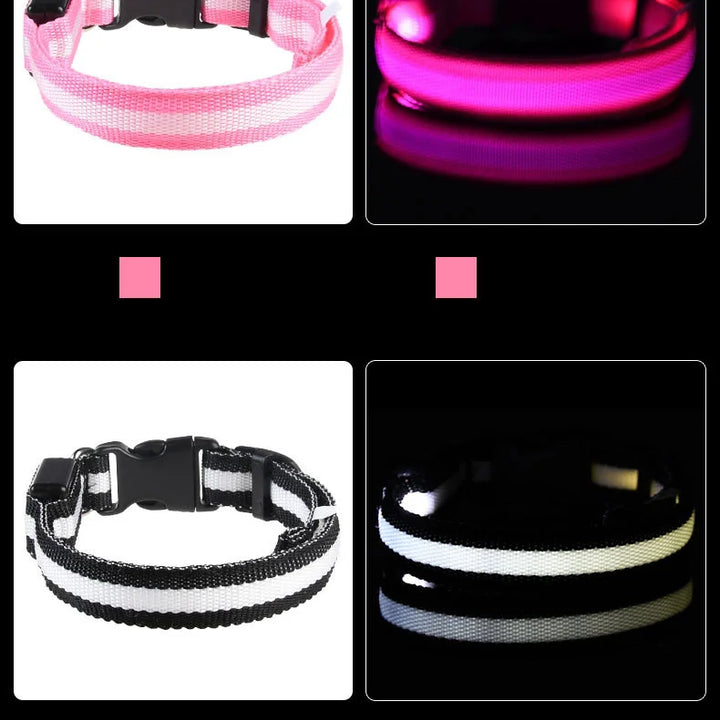 LED Glow-in-the-Dark Nylon Dog Leash – Night Safety