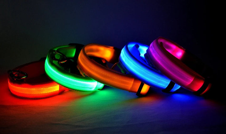 LED Glow-in-the-Dark Nylon Dog Leash – Night Safety