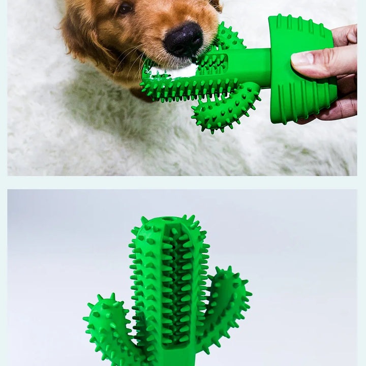 Cactus Rubber Chew Toy – Dental Care & Treat Dispenser