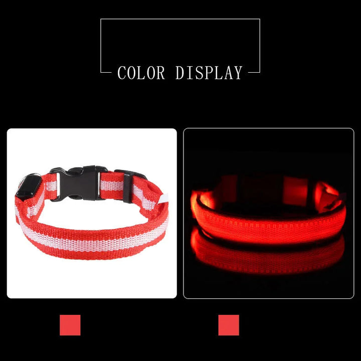 LED Glow-in-the-Dark Nylon Dog Leash – Night Safety